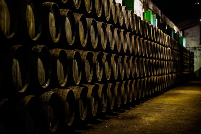 Cardenal Mendoza aging in Sherry casks at the bodega in Jerez