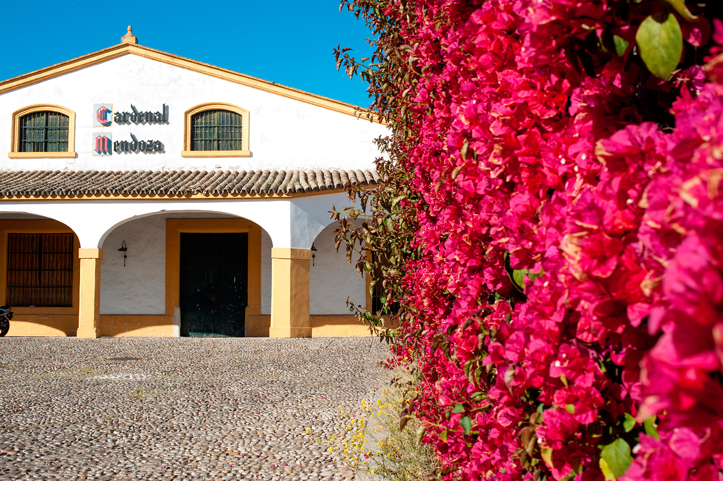 Sánchez Romate Cardenal Mendoza Bodega Jerez