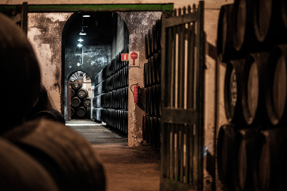 Sánchez Romate Cardenal Mendoza winery