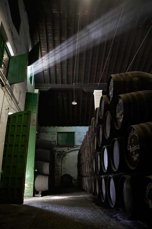 Cardenal Mendoza Carta Real is quietly matured for nearly two decades Bodegas Sanchez Romate Cardenal Mendoza
