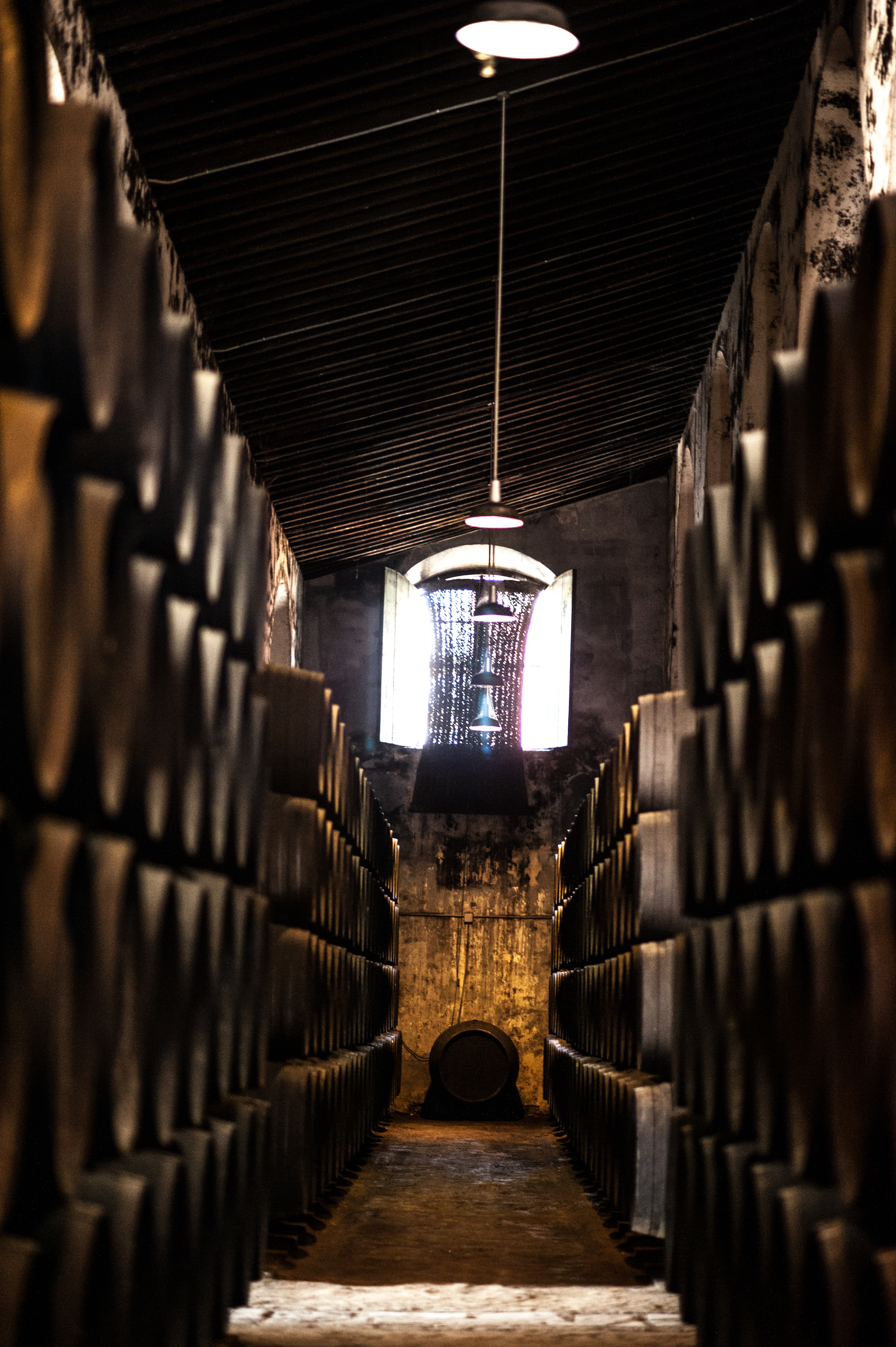 Bodega cardenal mendoza jerez